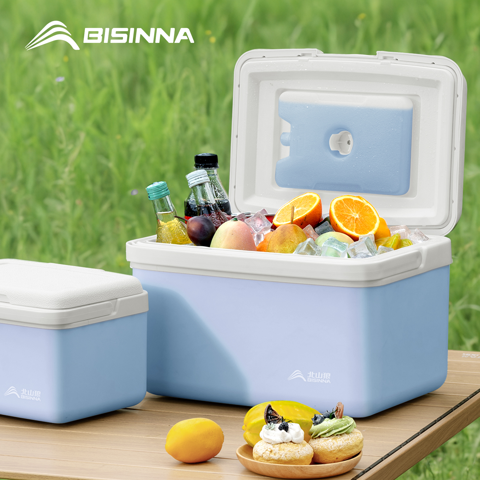 BISINNA Camping Ice Box 6L/9L/ - Outdoor Camping Fridge ulasan dan harga